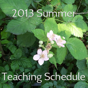 Summer 2013 Teaching Schedule